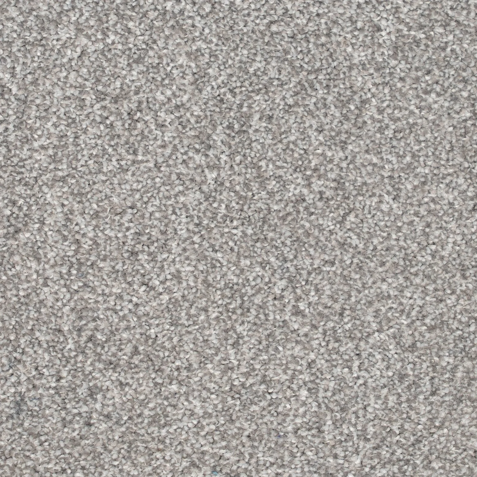 Blue Carpets